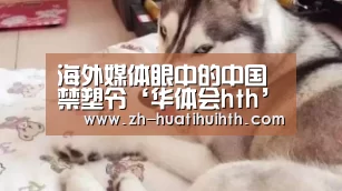 海外媒体眼中的中国禁塑令‘华体会hth’(图4) 华体会hth