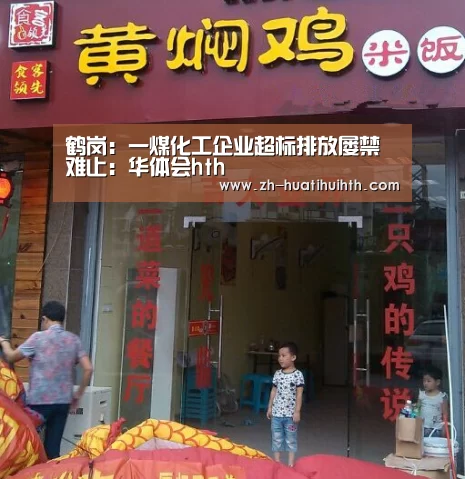 鹤岗:一煤化工企业超标排放屡禁难止:华体会hth(图2) 华体会hth