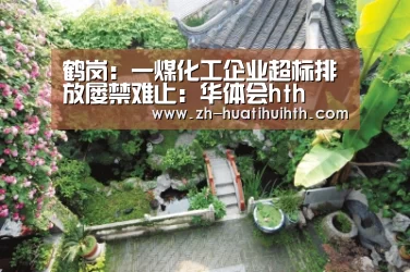 鹤岗:一煤化工企业超标排放屡禁难止:华体会hth(图1) 华体会hth